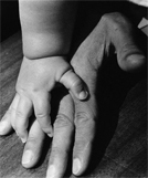 divorce, post-dissolution matters, child support, paternity, custody, dependency, domestic violence injunctions